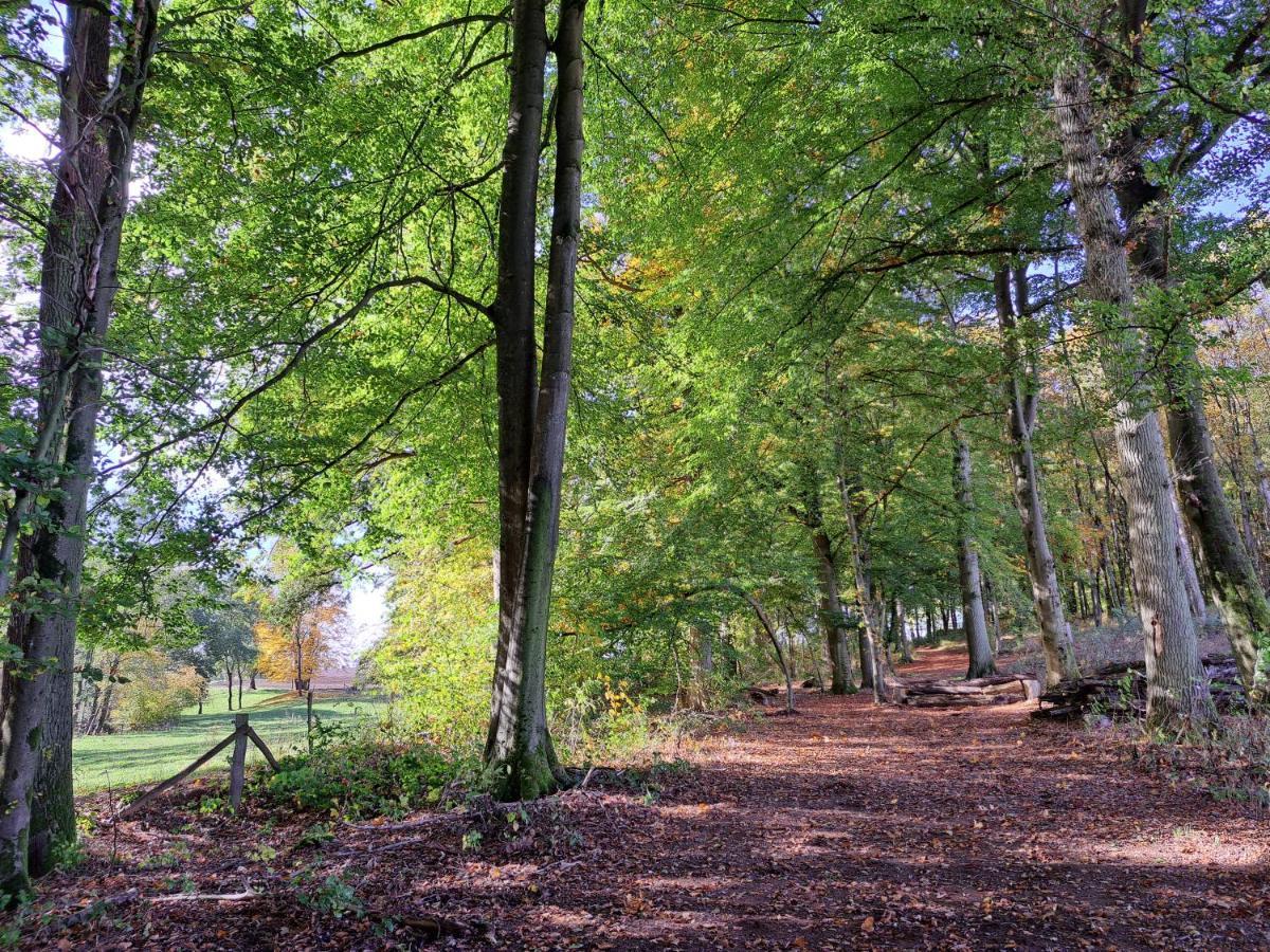 Steewer Landhaus Gemuetliche Ferienwohnung Bis 6 Pers In Ruhiger Ortsrandlage Stebach Exteriér fotografie