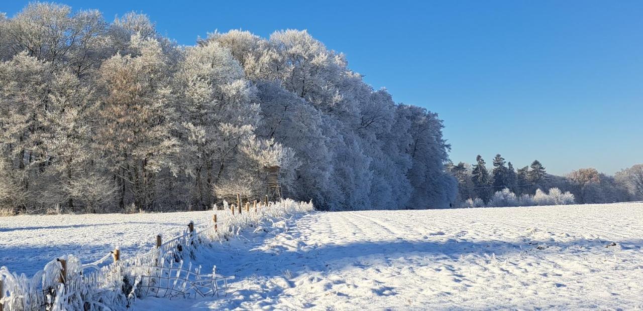Steewer Landhaus Gemuetliche Ferienwohnung Bis 6 Pers In Ruhiger Ortsrandlage Stebach Exteriér fotografie